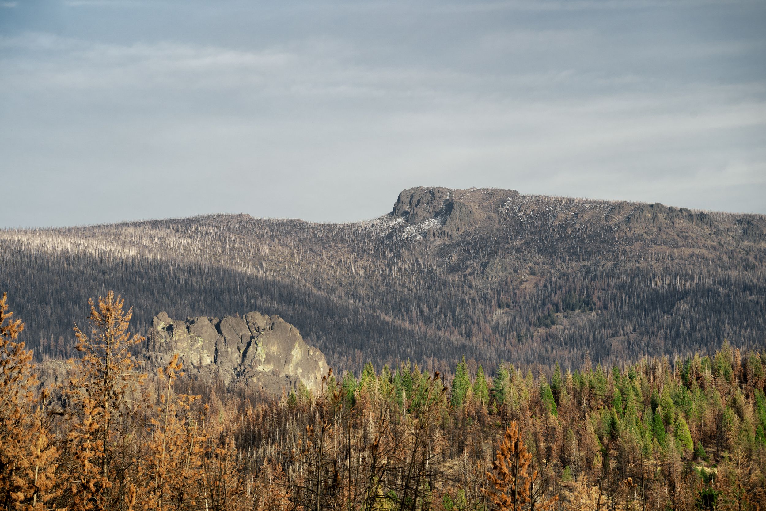 Gearhart Mountain landscape near Bly, Oregon