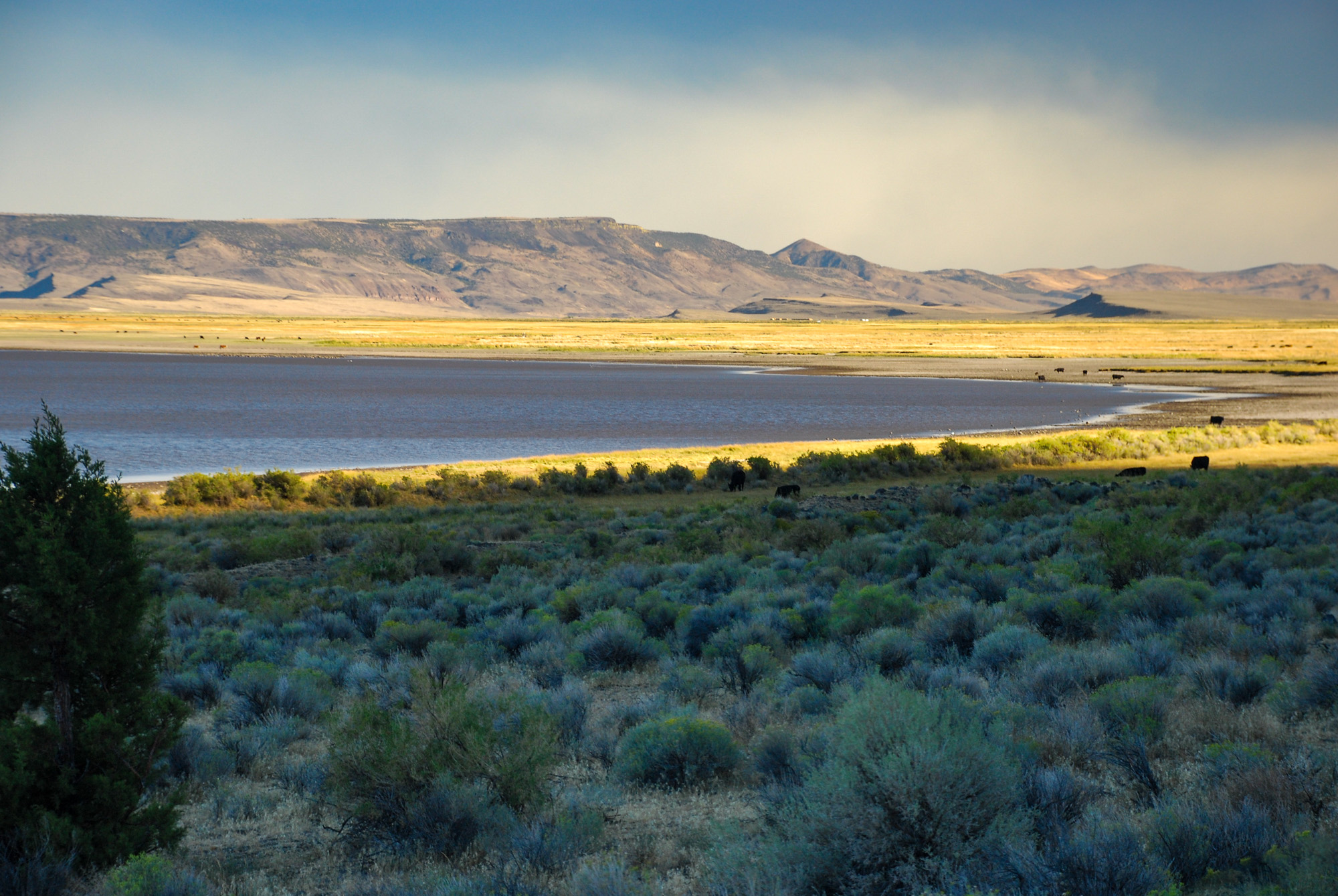 Crump Lake surrounded by sagebrush and the fault-block landscape of Warner Valley