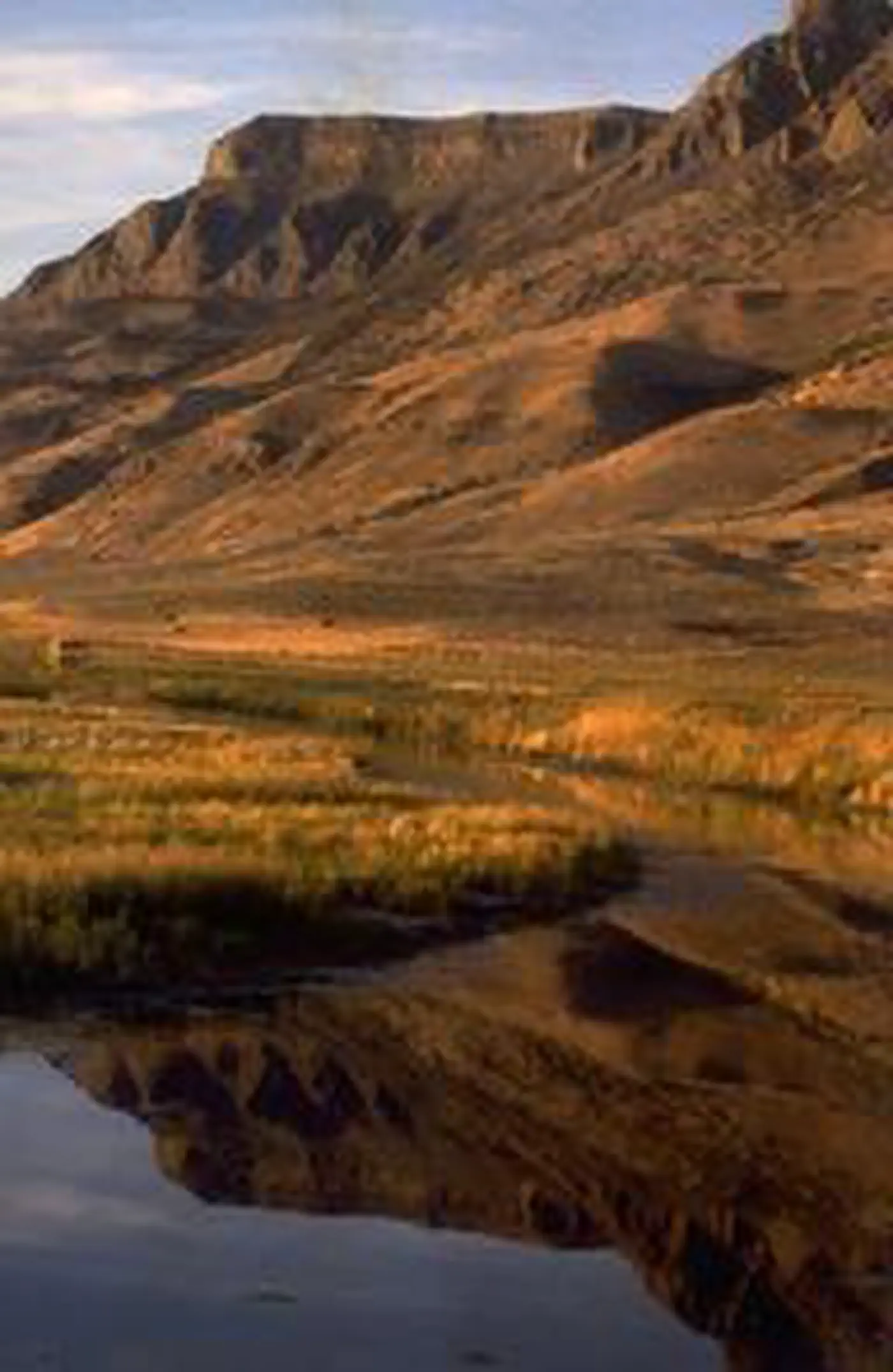Basalt rimrock rising above the Warner Wetlands